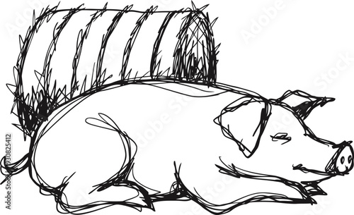 Sleeping pig laying next to a large rolled hay bale in a rural farm setting