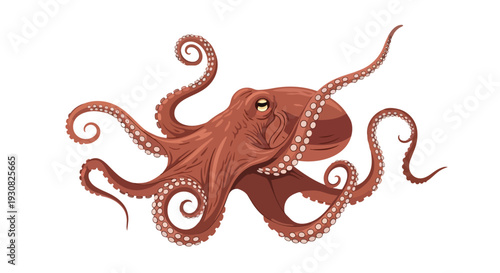 A captivating illustration of a detailed octopus with its tentacles gracefully unfurled against a stark white background, showcasing its unique form