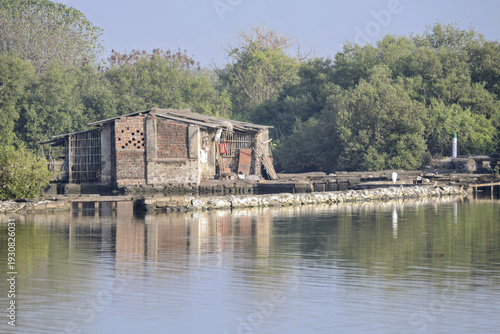 Canvas Print rustic brick and wooden hut along the swampy wetland area of karave in navi mumb