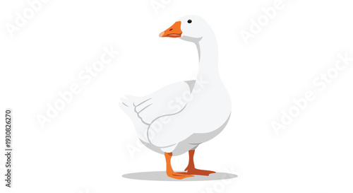 A clean, stylized vector illustration of a white domestic goose standing on a grey shadow against a pure white backdrop, showcasing its orange beak