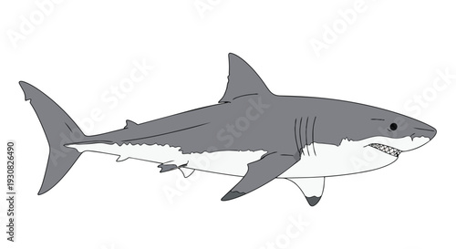 Striking illustration of a majestic great white shark gliding through clear blue oceanic waters a powerful predator depicted with sharp teeth and a