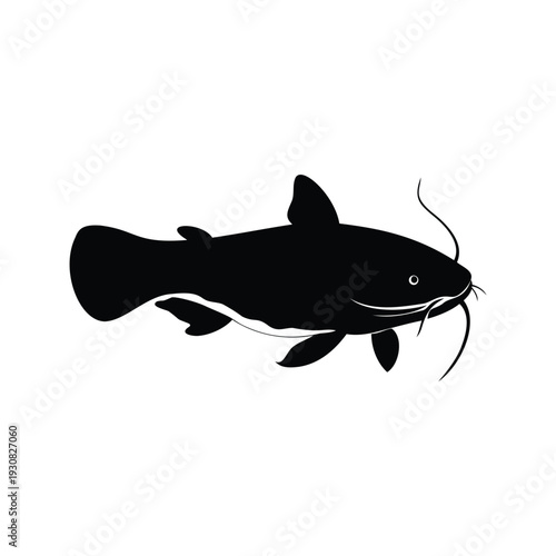 catfish silhouette vector illustration
