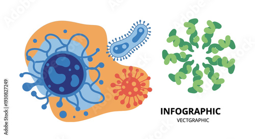 Microscopic view of viruses and bacteria, illustrating cellular structures and biological entities in a colorful infographic style.