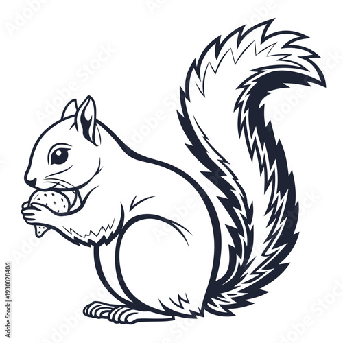 Educational Squirrel Drawing for Biology and Animal Studies Vector

