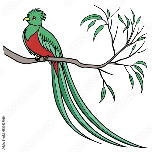 Stylized Resplendent Quetzal Perched on Branch Vector

