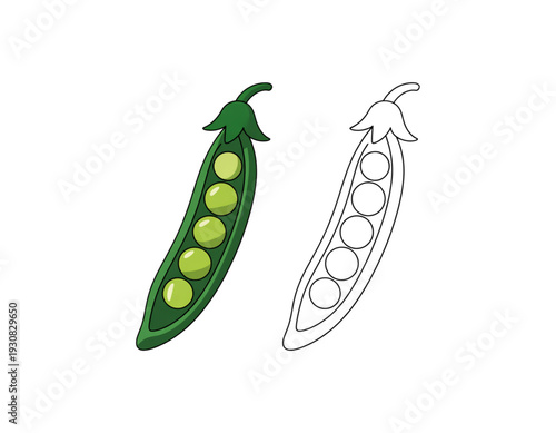 Illustration of a whole green pea pod and its internal peas with dotted outline isolated on transparent background