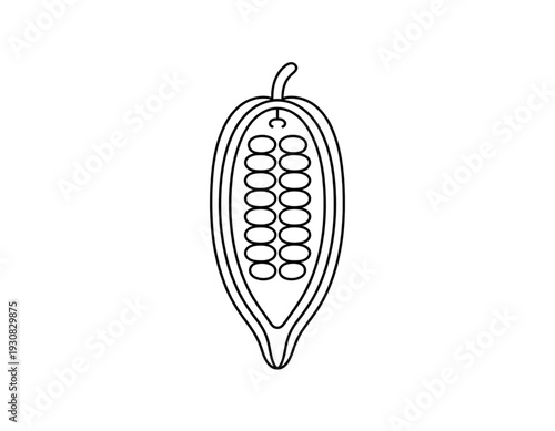 Illustration of a cocoa pod with seeds inside its shell isolated on transparent background