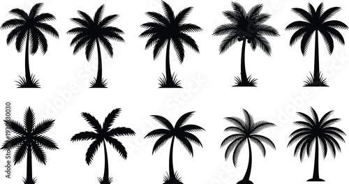 Palm tree silhouette illustration set, stylized tropical designs with curved trunks and grassy bases, landscape and nature theme - flat vector illustration