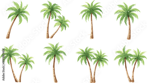 Collection of tropical palm trees vector illustration set isolated on white background, various coconut tree arrangements for summer beach design elements clipart pack bundle