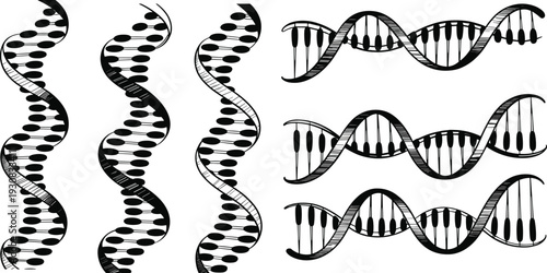 Collection of hand-drawn DNA double helix structures in black and white, showcasing scientific research and genetic information in various artistic styles