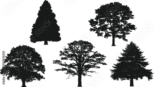 Silhouetted Trees: A collection of various tree silhouettes, perfect for adding a touch of nature and artistry to any design.