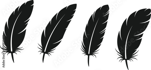 Feather Serenity: A delicate display of feathers in serene black against a clean, uncluttered space.