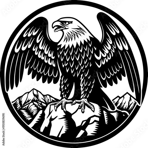 eagle vector illustration
