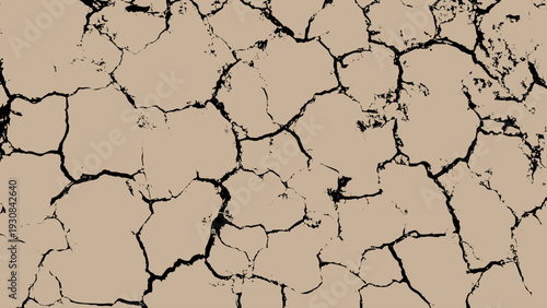 Cracked Texture: Cracked white wall texture. Surface cracks and fissures in ground. Dry Terrain with Cracked Concrete White Wall Texture, Vintage Old Wall Background with Black and White Scribble .