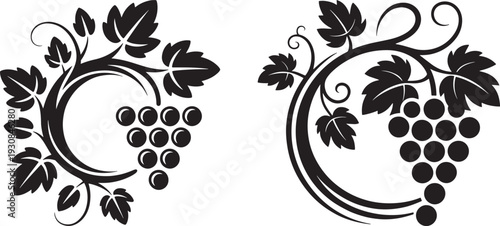 Decorative Grapes and Vine Swirls, Black and White Vector Ornaments for Wine and Harvest Themes