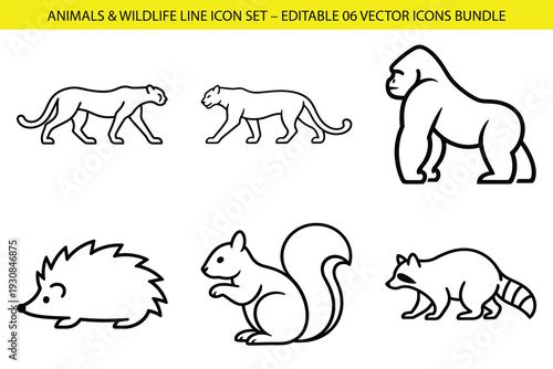 Set of 6 animals and wildlife line icons vector