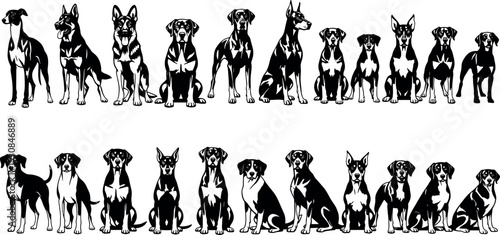 Detailed Dog Breeds Silhouette Vector Set, Featuring Doberman German Shepherd Greyhound And Terrier Poses, Isolated Black Animal Icons, For Design