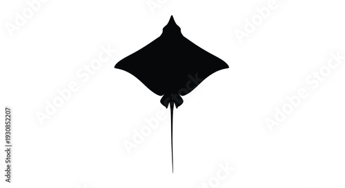 A striking black manta ray shape against a white background silhouette