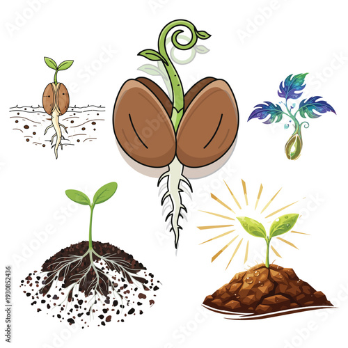 A set of vector illustrations showcasing a young green sprout growing from soil, symbolizing new life, nature, and eco-friendly gardening through every stage of seedling growth