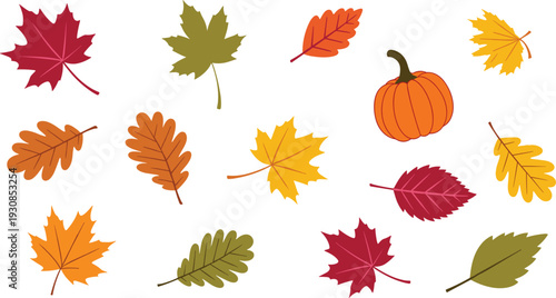 Scattered autumn leaves vector illustration in bright seasonal colors isolated on white