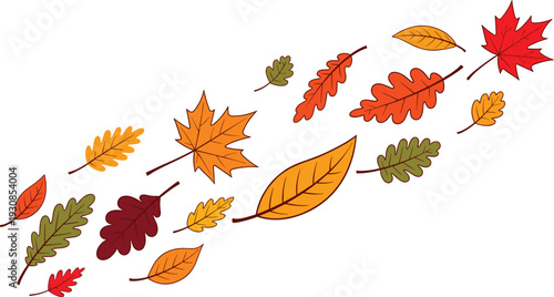 Flying autumn leaves vector illustration in vibrant fall colors isolated on white