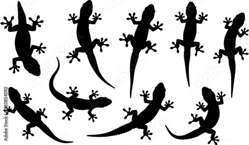 Set of black lizard and gecko silhouettes in various crawling positions for nature themed designs reptile logos and educational materials,