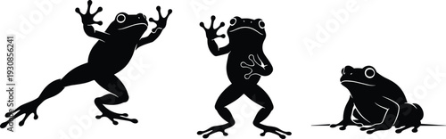 Black Frog Silhouette Set Collection of Tree Frog Vector Illustrations in Different Poses Isolated on White Background for Tropical Nature Design Amphibian Wildlife Graphics