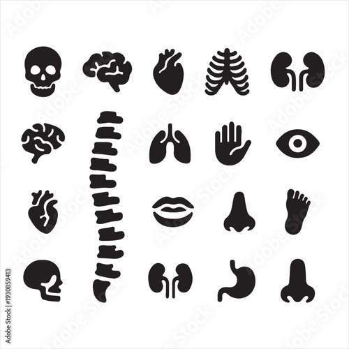 Collection of human body organ and skeleton icons in black silhouette on white background