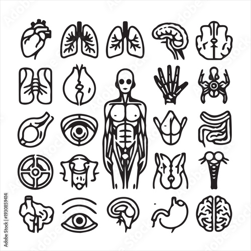 human organ Collection silhouette. internal isolated organs set. flat graphic design illustration