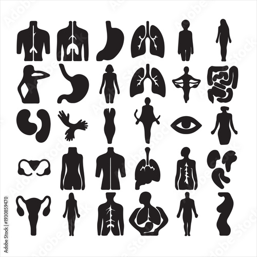 Internal organs black simple icons set for web and mobile devices