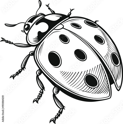 Minimalist Black and White Potted Houseplant Vector Illustrations