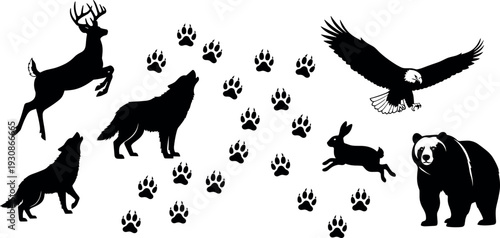 Wild Animal Silhouette Vector Set, Featuring Deer Wolf Eagle Bear And Rabbit With Paw Prints, Isolated Black Icons, For Nature