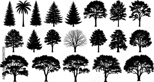 Set of black tree silhouettes featuring various species including pine palm fir and deciduous trees for 
