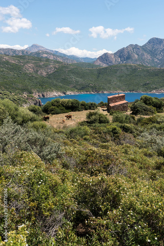 Le Capo Rosso en Corse