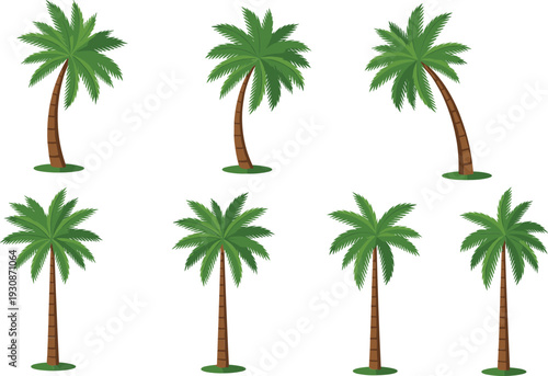 Palm Tree Collection Illustration Set Featuring Tropical Coconut Trees for Summer Beach Landscape Design