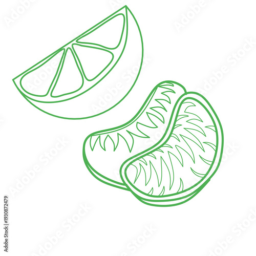 seamless citrus pattern, lemon slice isolated on white background, Freshness Orange Slice Frame, Fresh Orange Slice Illustration, orange vektor illustration, lime dan lemon vektor illustration.