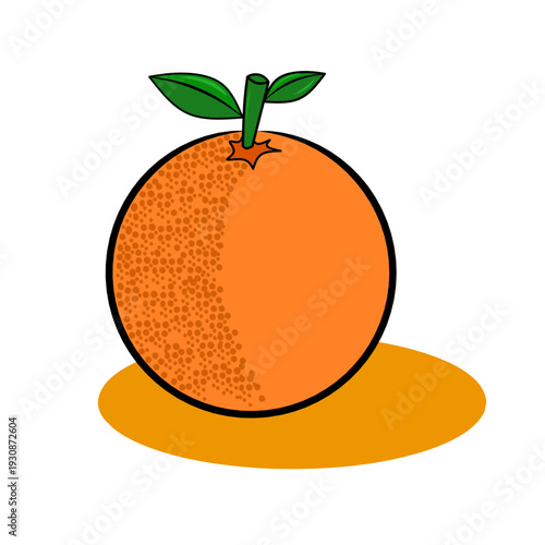 seamless citrus pattern, lemon slice isolated on white background, Freshness Orange Slice Frame, Fresh Orange Slice Illustration, orange vektor illustration, lime dan lemon vektor illustration.