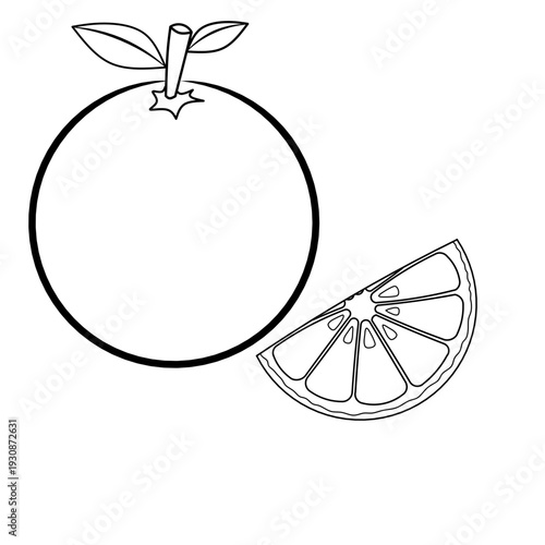 seamless citrus pattern, lemon slice isolated on white background, Freshness Orange Slice Frame, Fresh Orange Slice Illustration, orange vektor illustration, lime dan lemon vektor illustration.