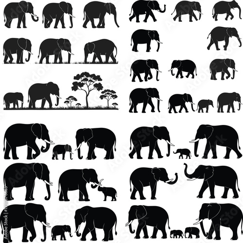 Massive collection of black silhouettes featuring African elephants wildlife farm animals business people birds parrots bats flowers and meadow grass