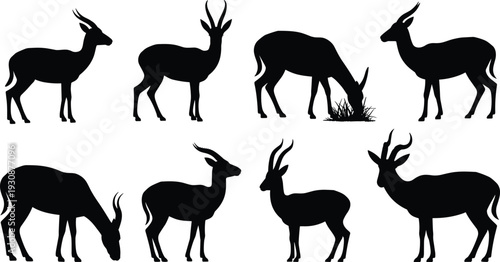 Massive collection of black silhouettes featuring farm animals wildlife marine life desert cactus business people and gazelle icons for design