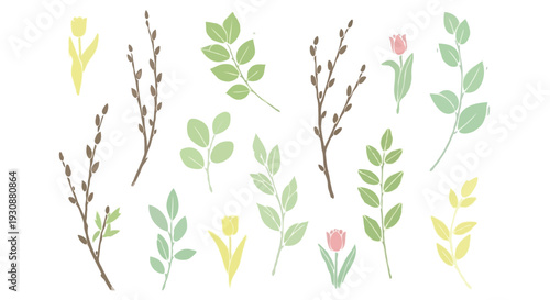Set of hand-drawn spring botanical elements including pussy willow branches, leaves, and tulips