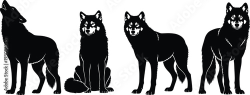 Wolf silhouette vector illustration set, wild animal poses including howling, sitting, and standing for graphic design
