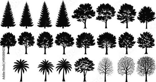 Collection of Tree Silhouettes Including Pine Deciduous and Palm Trees for Landscape Design Nature Environment Forestry and Cad Drawing Flat Vector Illustration