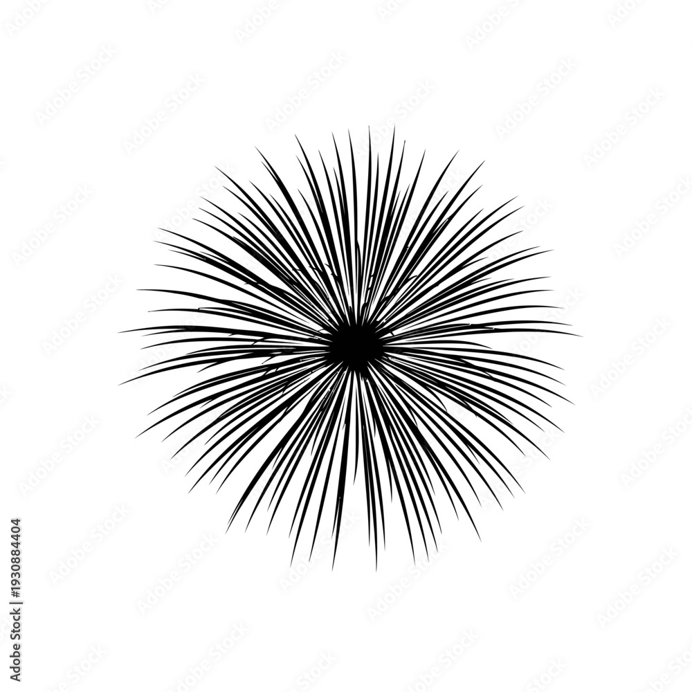 Obraz premium Monochrome radial spiky abstract burst resembling dandelion seedhead.