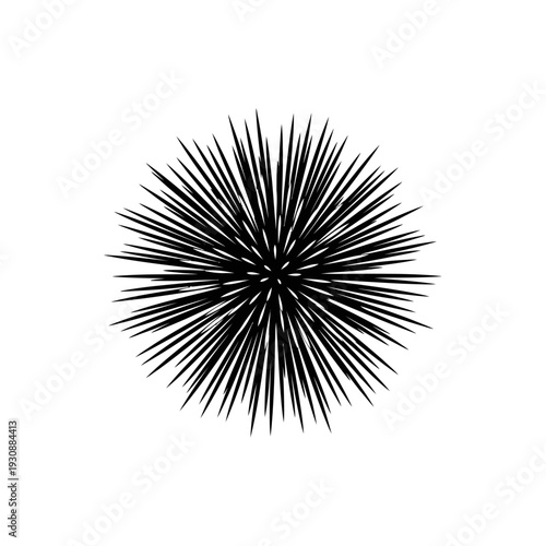 Black radial spiky abstract burst resembling sea urchin silhouette.