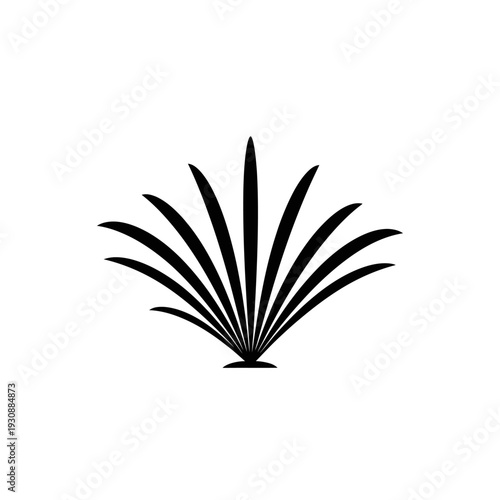 Minimalist black agave fan plant silhouette on white background.