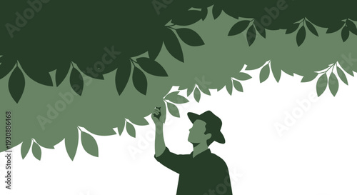 Man Inspecting Lush Green Foliage Underneath A Canopy Of Leaves