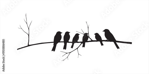 Black silhouette parrots and cockatoo birds perched on branch, tropical wildlife animal vector illustration isolated on white background design collection art graphic