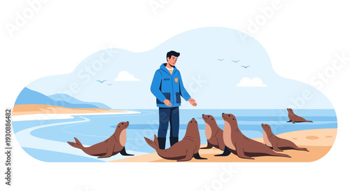 Man Interacting With A Colony Of Seals On The Shoreline