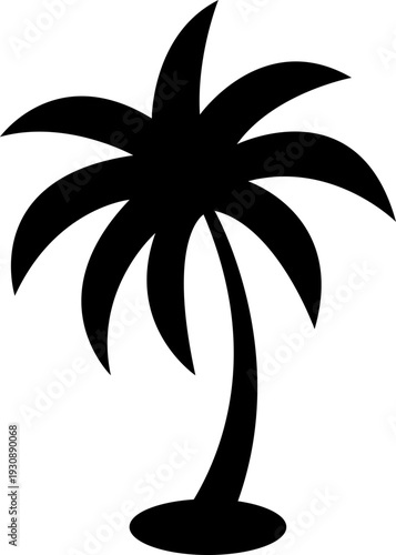Palm tree vector with tropical coconut tree silhouette and outline icons, summer beach nature symbol isolated on transparent background, editable minimalist design